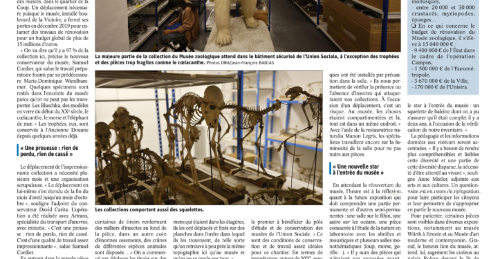 "Les animaux du Musée zoologique patientent à la Coop"