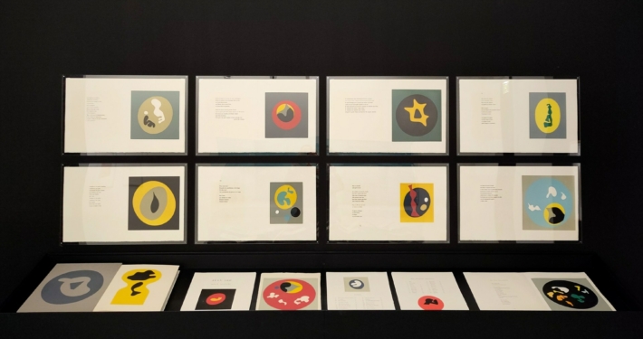 "La bibliothèque des images. Livre et arts graphiques en dialogue (XIXe-XXIe siècles)"