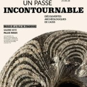Visites guidées: « Un passé incontournable. Découvertes archéologiques de l’A355 » 