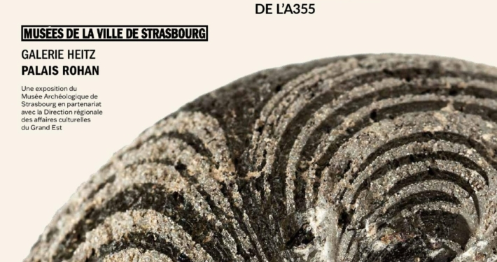 Visites guidées: « Un passé incontournable. Découvertes archéologiques de l’A355 » 