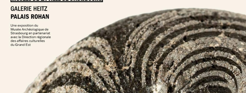 Visites guidées: « Un passé incontournable. Découvertes archéologiques de l’A355 » 