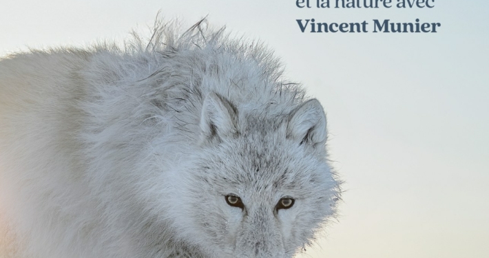 Visites guidées «  Lumières sur le vivant. Regarder l'art et la nature avec Vincent Munier »